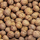 walnuts